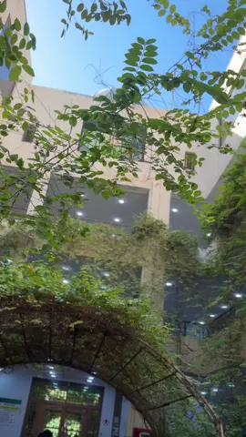 جامعة المستقبل #اكسبلورexplore #حياه #حب #حيفا #ت 