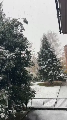 Finally its winter🙌❤️‍🩹 #italygirl🇮🇹 #italy #italywale🇮🇹 #italyviralvideo🇮🇹 