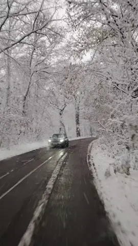 #kabyle_dz #kabylesdeparis♓️ #tizi #bejaia06_la_kabyle💪♓❤️ #foryoupage❤️❤️ 