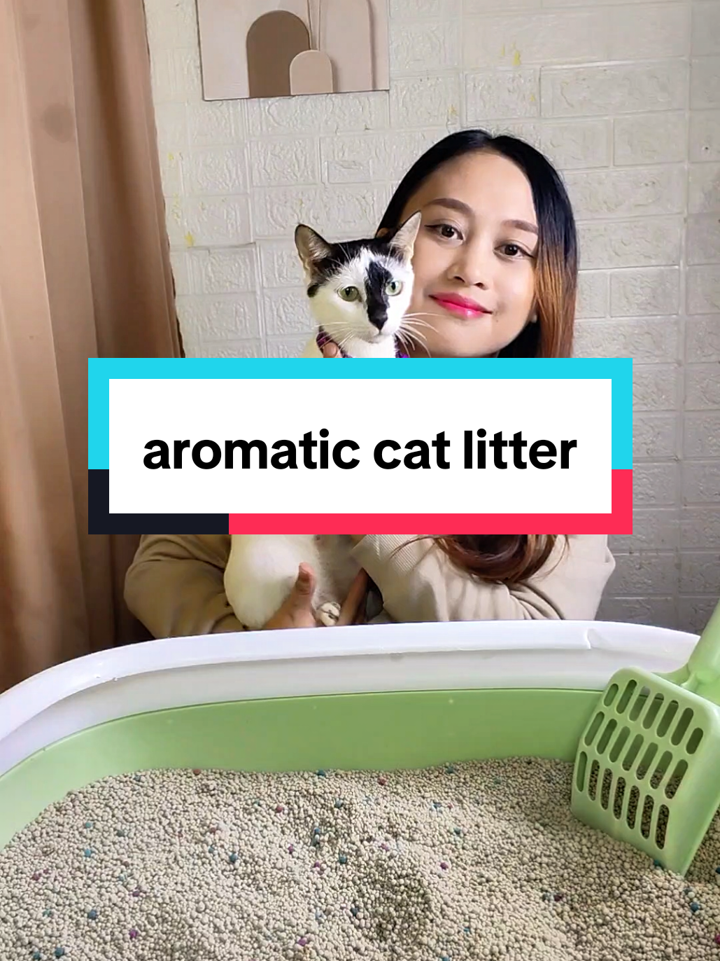 aromatic cat litter 10L #catlittersand #catlitter #littersand #aromaticcatlitter 