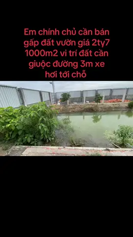 #xuhuongtiktok #neu #62 #cangiuoc 