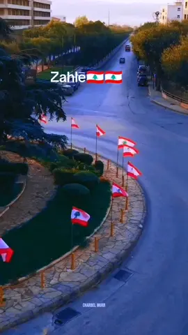 زحلة القلب❤️🇱🇧❤️🇱🇧 #zahle #viralvideo #lebanon #foryoupage #لبنان 