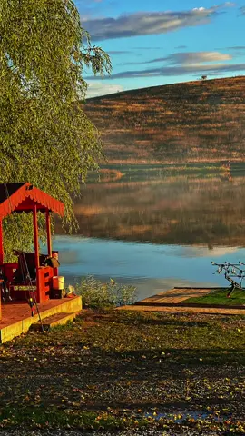 #bigfishcarp #viralvideos #foryoupage❤️❤️ #romania🇷🇴🇷🇴 #carplover❤️ 