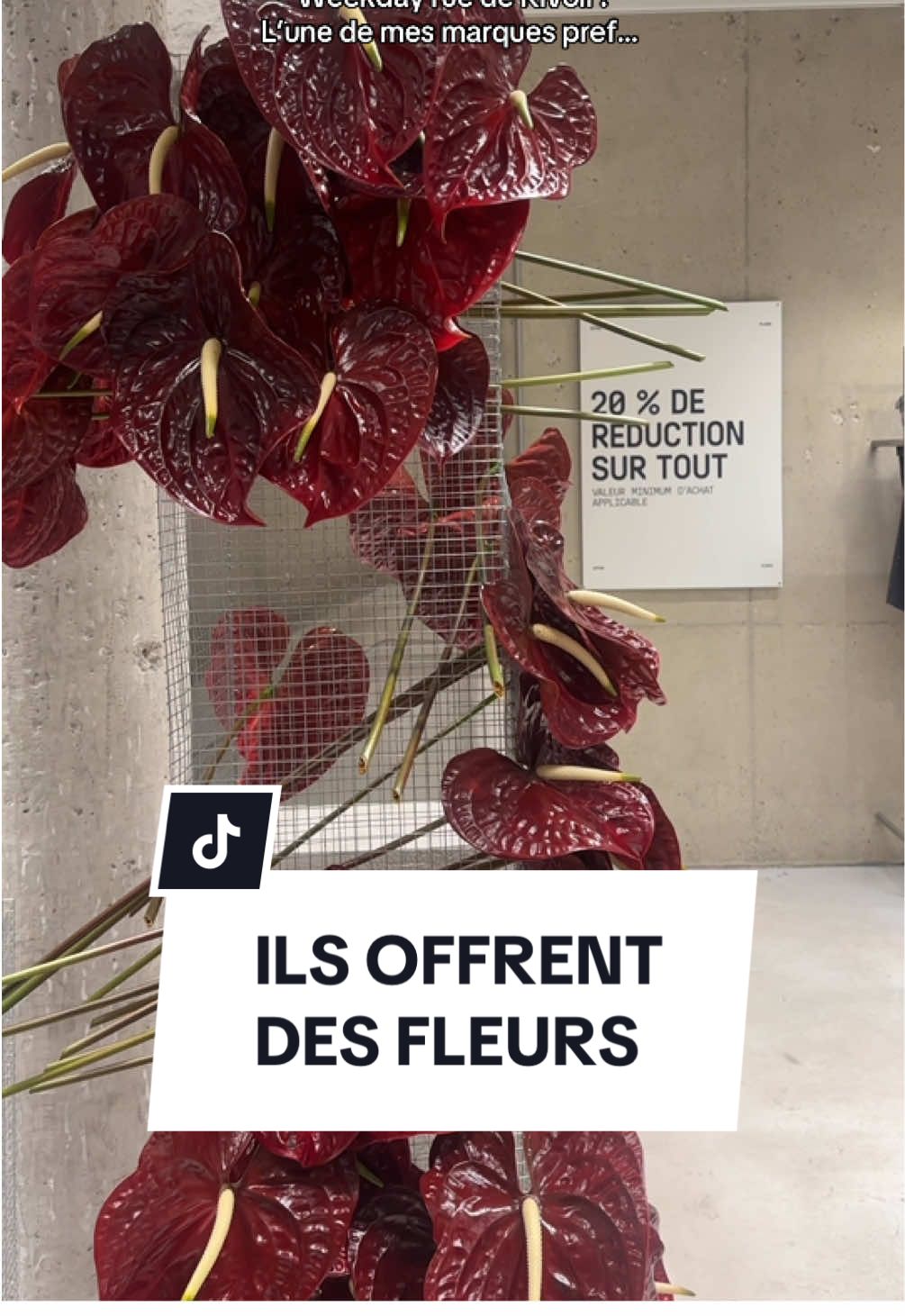 @Weekday 🤍 ✨ Ouverture du tout nouveau Weekday rue de Rivoli ! L’une de mes marques pref… avec qui je rêve de bosser un jour hihi 👀 Et en plus, ils offrent des fleurs aux premiers clients… trop mimiii 🌸 #wee#weekdayr#parisvoli #boutiqueparis 