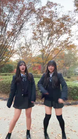 このダンス可愛すぎるからもっと流行れー！#踊ってみた #おすすめ #08 #sjk #jkの素敵な思い出 