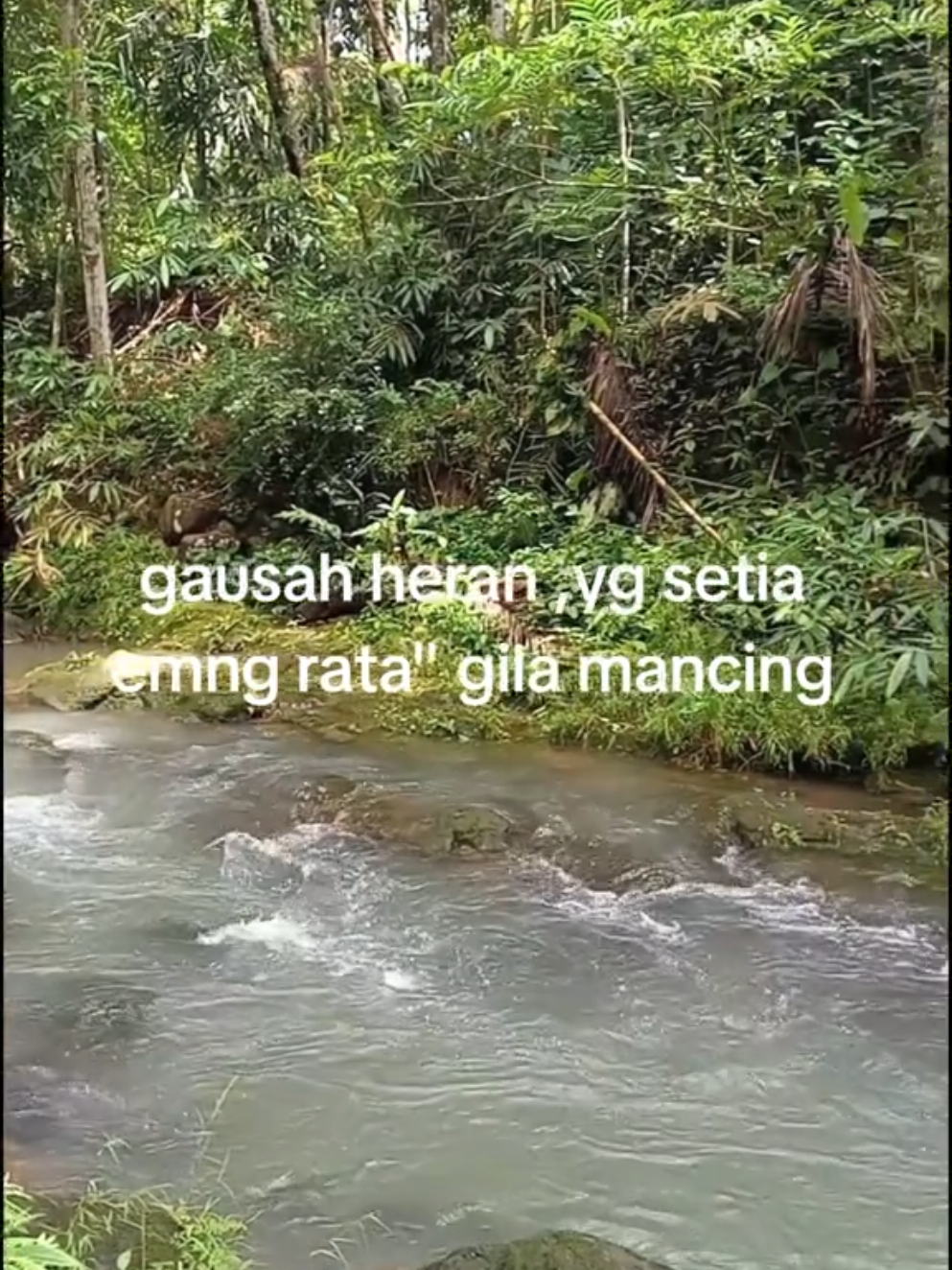 ketua bucin dulu🫡 #fyp #masukberanda #mancing #anglerfish#microfishing 