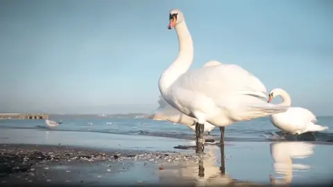 Tupolev Tu-160 Blackjack | Người ta không gọi chú chim sắt này là 