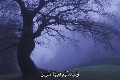 #الشيخ_مصطفي_اسماعيل #quran #قرآن #قران_كريم #راحة_نفسية 