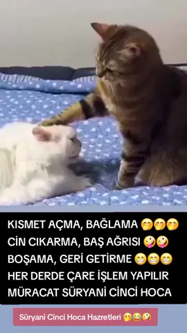 #girgirsamata😂😂😂😂😂 #baskaulkedeyasayamam😂😂😂 #mizahtürkiye #tiktokindia #kesfettiktok 