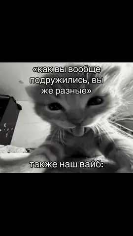 #recommendations #recommendationsfyr: #fyp #щитпост #щп 