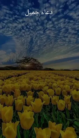 #دعاء_جميل # #اللهم_لك_الحمد_ولك_الشكر  #اللهم_انك_عفو_تحب_العفو_فاعف_عنا  #اللهم_صل_وسلم_وبارك_على_نبينا_محمد  #الجزائرالعاصمة🇩🇿 السعودية 🌺♥️🌹🕋💫🌿👑✨
