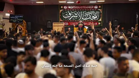 #النجف_الأشرف #ثلاث_دكات_نجفية #زيد_بقر_الشام 