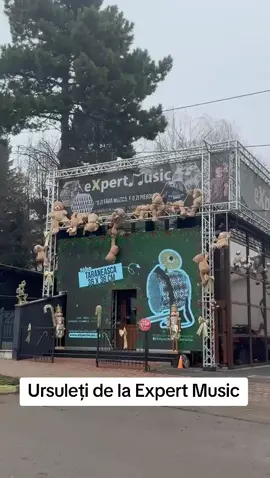 Ursuleți de la Expert Music #suceava #romania 