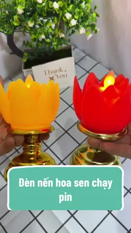 Đèn nến hoa sen dùng pin vừa sang, đẹp mà an toàn 👇🏻👇🏻👇🏻👇🏻👇🏻👇🏻👇🏻 #xuhuong #denthohoasen #denthocung #denthochaypin #dennenhoasenchaypin  @Giang Giang nè  @Giang Giang nè  @Giang Giang nè 