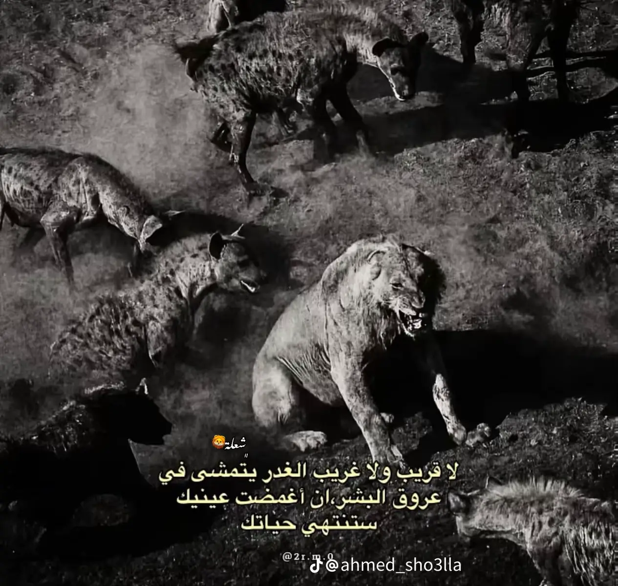 #اخصام_سهله👎🏻💯🎭 #بنفسي مشرف نفسي# #تلا بلدنا #اكسبلورexplore #مشاهدات 