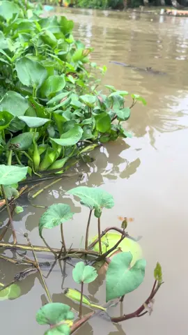 Ai cũng vậy thôi, thoáng nhìn có vẻ bình thản, yên vui. Thật ra bên trong mỗi con người chúng ta là những vụn vỡ, nhưng chẳng ai biết.