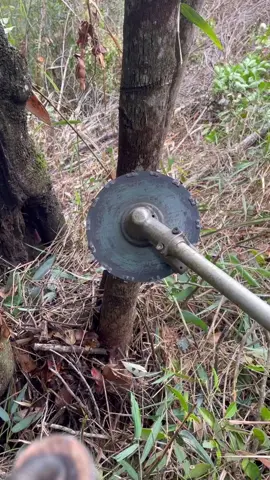 #roçadeira #vidanocampo #vidanarroça #popular #agro 