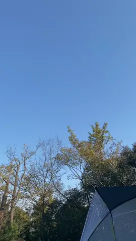 Just get this new upgrade golf net! Real ball practice! #golf #golftiktok #fyp #tiktokshop #golftraining 