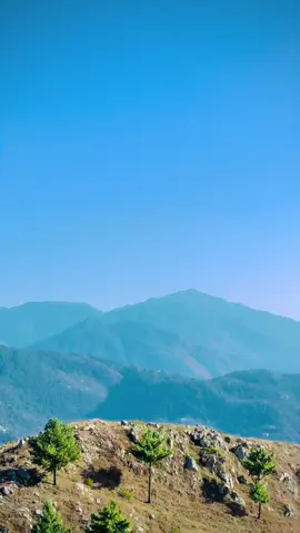 Beautiful view ❤️‍🩹🫶