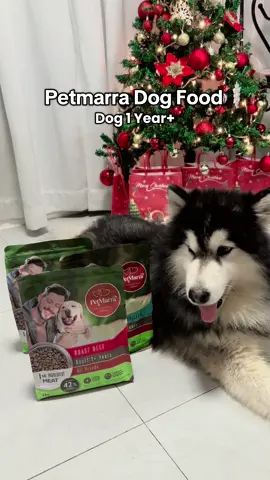Petmarra premium dog food #petmarra #petmarradogfood #dogfood #dogtreat 