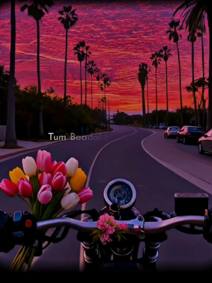 Just Feel This Song.❀🥹❤️‍🩹🫀#songsthathitdifferent #aesthetic #trending #cretersearchinsight #foryoupage 