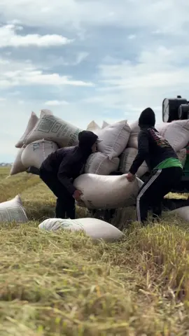 Cũng hết ngày 🥰 #66dongthap #xuhuongtiktok #trongnobii66 #ytb @Pinnz☘️ @kiệt Sì tủn✌️ @Chấn Khang @Trọng Đại (66) 🏡💸✌️ @Quốc trầm 66📸🌾 @FB:Trạng Quỳnh📸🎀 @Trí minh ✈️ 