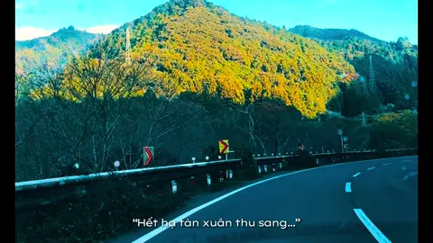 Hết hạ thu sang đông….#korankei🍁🍂16 