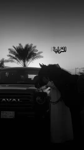 #أكسبلور_شعر_حكم_خواطر 