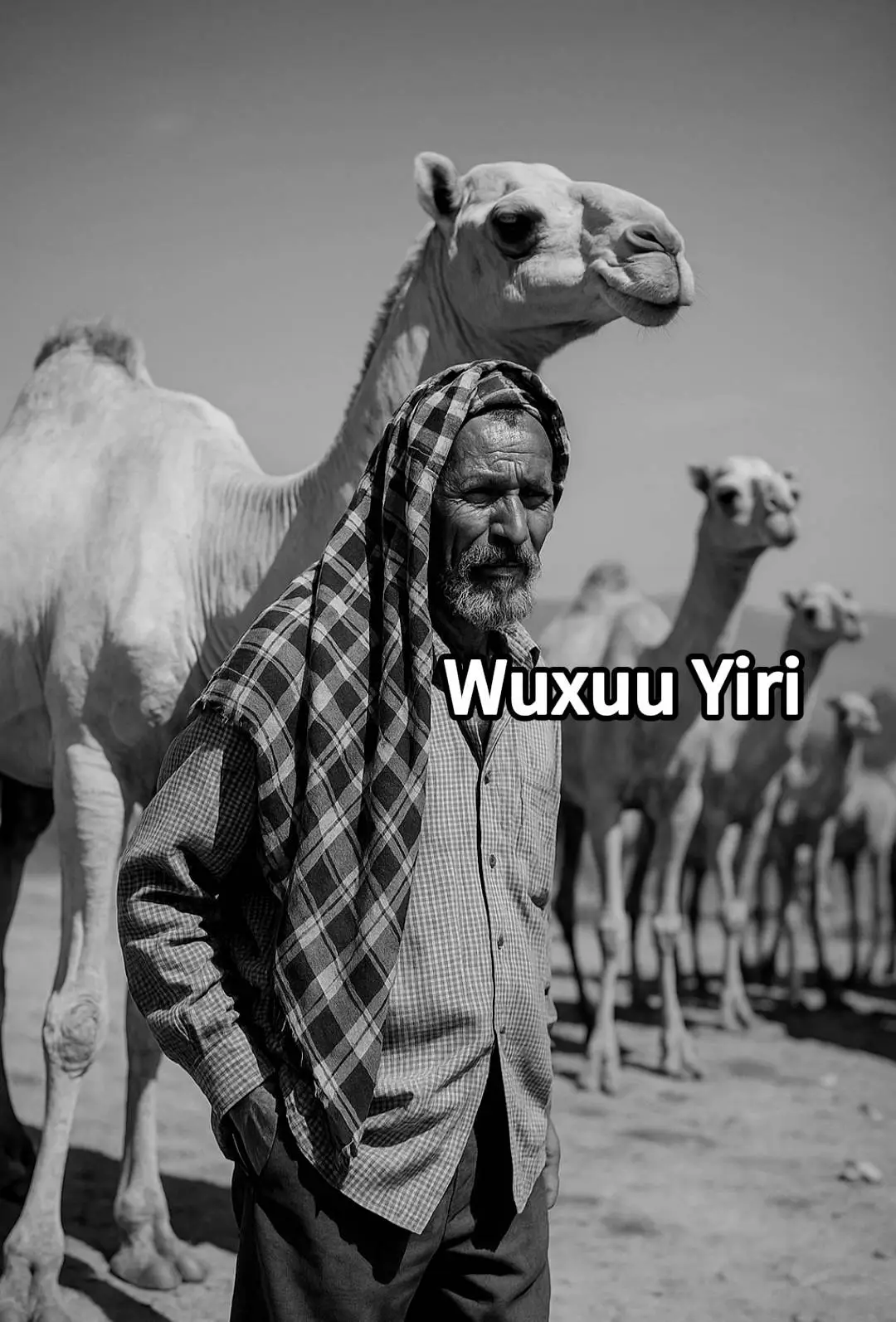 copy link inoo taabta. •Waan kugu ducaystee • Adna daacad ii noqo • Damqashada ma fiicnee • Daryeelkaaga ii badi  •Dugsi baa ku moodee • Ha ii saarin dibaha  #fkypシ #somalilandtiktok💚🤍❤ #somalitiktok🇸🇴 #fouryoupag  #creatorsearchinsights @Abdirizak qawdhan 👌🫶🤙 @ADOONKII ALLE @opdi @𝗛𝗮𝘄𝗱 𝗯𝗶𝗟𝗮👸+🇬🇲 @Sh͜͡ᑌe͜͡ip ͜*🐻🤎 @Somali_mideye_9 @Aisha | عـائــشــة @HODMAN ONLINE @Madaxtooyada JSL @ℍ𝕒𝕛𝕛𝕚 𝔸𝕡𝕕𝕒𝕝𝕒🤴🏾 @AWAALE DEEQSI 📷🌴 @𝕊𝕚𝕔𝕚𝕚𝕕 ℂ𝕒𝕪𝕕𝕚𝕚𝕕 @Sh͜͡ᑌe͜͡ip ͜*🐻🤎 @𝗦𝗮𝗺𝗮𝗸𝗮𝗮𝗕🇨🇭 