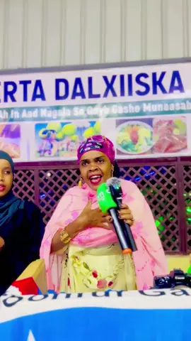 #shlnlyey #hypicpioneer 