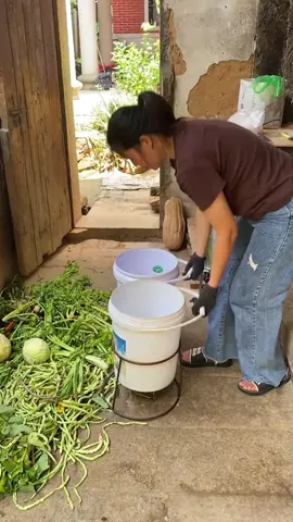 Nhận về chỉ cần cắm điện là xay, tiện lợi hơn rất nhiều #xuhuong #fyp #mayxaythucanchannuoi #mayxayraucu #mayxaydanang 