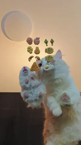 ハムスター：今日は争わないし奪わないから、誰も文句言わないよね！🐹 #トムとジェリ#猫とネズミのミーム#トムとジェリーのコスプレ#日版トムとジェリー#トムの理想の猫