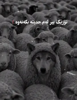 #foryou #fyp #tiktok #tawhid #mamosta_kamaran_karim 