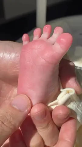 alaa kerii kerii😭💃🏻