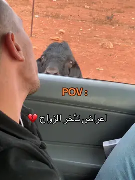 زوزونااااااا 😂😂😂💔@حـمـزة الـغـزي⚔️🥷 