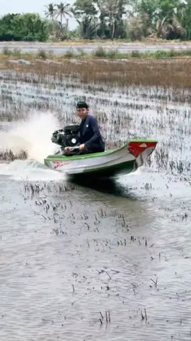 nhắn ai đi về miền đất phương nam 