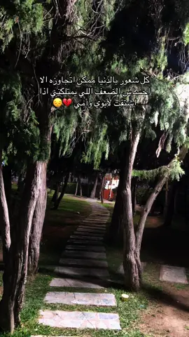 #والداي #رحم_الله_ارواحا_لاتعوض #تصويري #الجمعة #صلى_على_رسول_الله_صل_الله_عليه_وسلم 