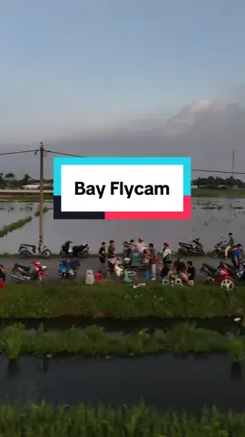 Pan cafe xin chân thành cảm ơn tất cả mng đã ghé mình, cuối tuần này mình ra thêm các món trà trái cây mong mng vẫn ủng hộ Pan tiếp nha. Cảm ơn anh đã bay cho em iu anh@ĂN NGON HÓC MÔN #viral #xuhuong 