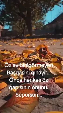 Ya sev ya sil at məni.#kəstet #lauiki #