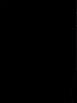 Tak sogok tak Sogok 🗿 #lirik #lagu #fyp #foryou 