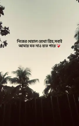 😌❤️‍🩹#vairalvideo #trendingsong #foryoupage #supportme #newcaption 