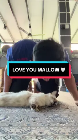 Marshmallow 🤍 , love you . 