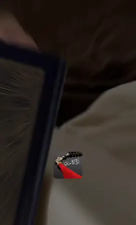 الصلاة والسلام على الرسول ﷺ يوم وليلة الجمعة #toutlemonde #vieus_for_you #viralreels #جمعة_مباركة #اللهم_صلي_على_نبينا_محمد 