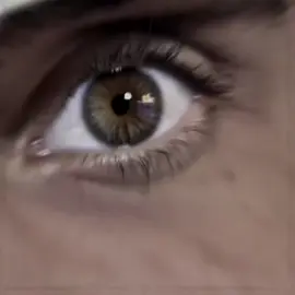 “WELLCOME TO DUBAI” 🇦🇪 | #fyp #bigboss #bigboss4m #explore 