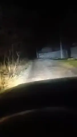 #дует з @user4574209544198 