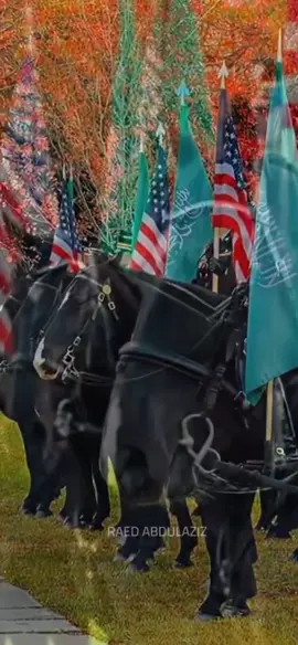 #الرفيحي على الطراز الامريكي 👌🏻#المملكة_العربية_السعودية🇸🇦#محمد_بن_سلمان في ضيافة #دونالد_ترامب #الرئيس_الامريكي 