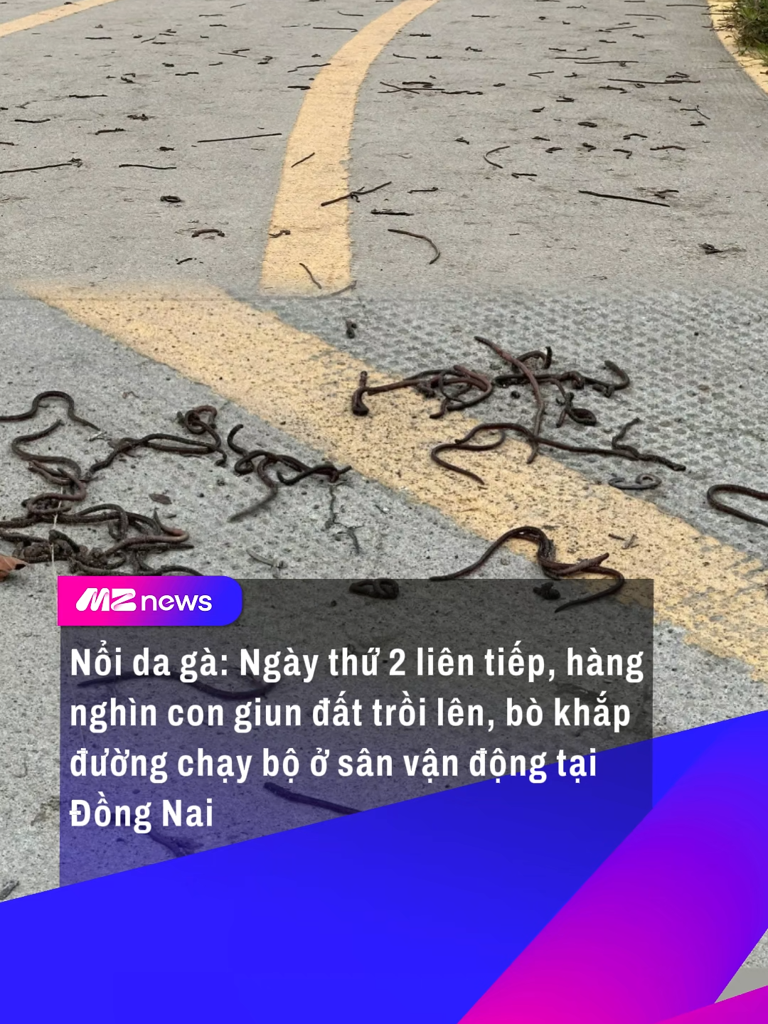Có khi nào lại sắp bão lụt tiếp không đây huhu #mznews #mznetwork #tiktokgiaitri #tiktoknews #tiktokviral