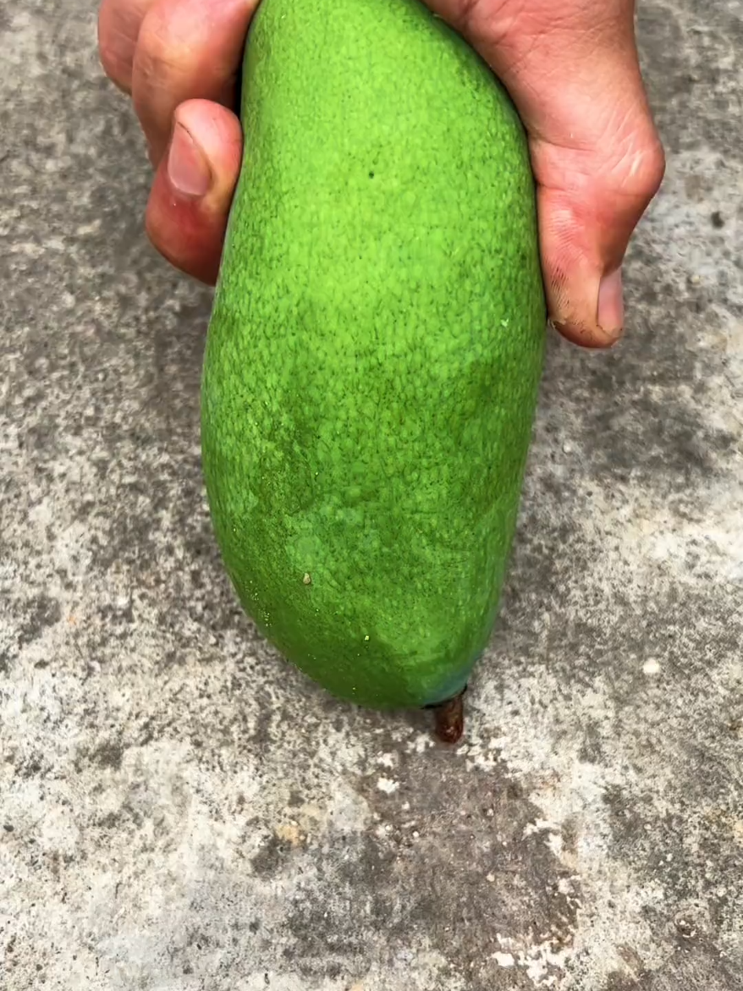 #NatureLovers #farmlands #greenpool #viralvideotiktok #follower #foryouu