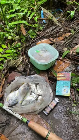 cari senang bukan cari ikan🫰🏻 #mancing #mancingmania #mancingmaniamantap🐟🎣 