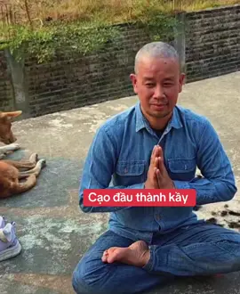 Xem đi #fanchinhnghia #phatphapnhiemmau #xuhuongtiktok2023 